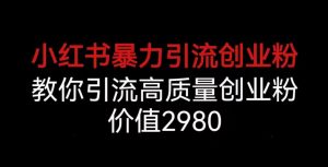 小红书暴力引流创业粉,教你引流高质量创业粉,价值2980【揭秘】-第一资源库