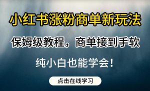 小红书涨粉商单新玩法，保姆级教程，商单接到手软，纯小白也能学会【揭秘】-互联网资源大全网