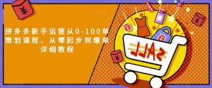 拼多多新手运营从0-100单策划课程,从零起步到爆单详细教程-第一资源库