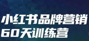 小红书品牌60天训练营第6期,GMV2亿级品牌老板都在学,教会你内容营销底层逻辑-互联网资源大全网