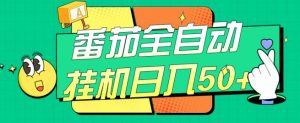 番茄全自动挂机日入50+,软件全自动,多号破百【揭秘】-互联网资源大全网