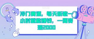 冷门赛道,每天听歌一小时就能赚钱,一周变现2000【揭秘】-第一资源库