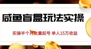 独家首发咸鱼盲盒玩法实操,半个月批量起号单人15万收益【揭秘】-第一资源库
