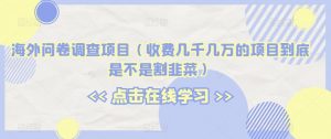 海外问卷调查项目（收费几千几万的项目到底是不是割韭菜）【揭秘】-第一资源库