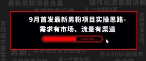 9月首发最新男粉项目实操思路-需求有市场,流量有渠道【揭秘】-第一资源库