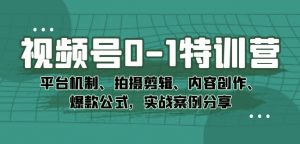 视频号0-1特训营:平台机制、拍摄剪辑、内容创作、爆款公式,实战案例分享-互联网资源大全网