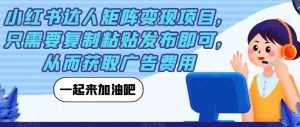 小红书达人矩阵变现项目,只需要复制粘贴发布即可,从而获取广告费用-第一资源库