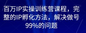 百万IP实操训练营课程,完整的IP孵化方法,解决做号99%的问题-互联网资源大全网