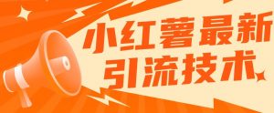 小红书最新引流技术，真正实现解放双手暴力引流-互联网资源大全网