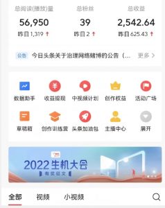 全新蓝海,西瓜视频流量掘金项目,简单上手适合0基础小白,暴力玩法日入500+【揭秘】-第一资源库