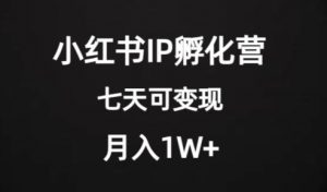价值2000+的小红书IP孵化营项目,超级大蓝海,七天即可开始变现,稳定月入1W+-互联网资源大全网