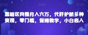 靠暗区突围月入六万，代肝护航多种变现，零门槛，保姆教学，小白必入【揭秘】-互联网资源大全网