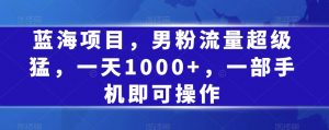 蓝海项目,男粉流量超级猛,一天1000+,一部手机即可操作【揭秘】-互联网资源大全网