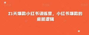 21天爆款小红书训练营，小红书爆款的底层逻辑-互联网资源大全网