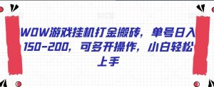 WOW游戏挂机打金搬砖，单号日入150-200，可多开操作，小白轻松上手【揭秘】-互联网资源大全网