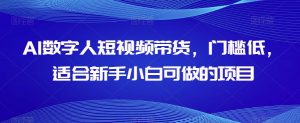AI数字人短视频带货,门槛低,适合新手小白可做的项目-互联网资源大全网