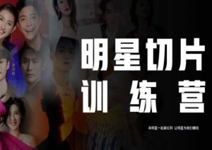 王子·明星切片线上训练营(2023),和明星一起拿红利,让明星为我们赚钱-互联网资源大全网