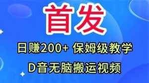 首发,抖音无脑搬运视频,日赚200+保姆级教学【揭秘】-互联网资源大全网
