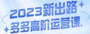 大炮·多多高阶运营课,3大玩法助力打造爆款,实操玩法直接亮出干货-第一资源库