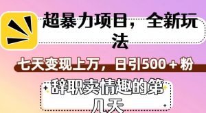 超暴利项目，全新玩法（辞职卖情趣的第几天），七天变现上万，日引500+粉【揭秘】-互联网资源大全网