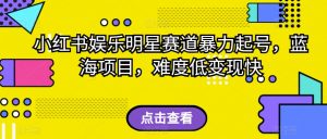 小红书娱乐明星赛道暴力起号，蓝海项目，难度低变现快【揭秘】-互联网资源大全网