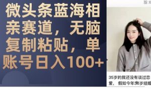 微头条蓝海相亲赛道，无脑复制粘贴，单账号日入100+-互联网资源大全网