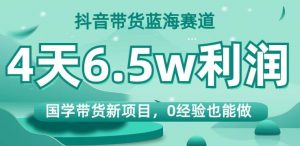 抖音带货蓝海赛道,国学带货新项目,0经验也能做,4天6.5w利润【揭秘】-互联网资源大全网