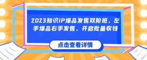 2023知识IP爆品发售双阶班,左手爆品右手发售,开启批量收钱-第一资源库