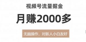 视频号流量掘金，无脑操作，对新人小白友好，月赚2000多【揭秘】-互联网资源大全网