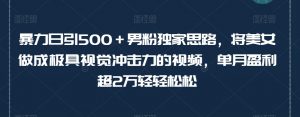 暴力日引500+男粉独家思路,将美女做成极具视觉冲击力的视频,单月盈利超2万轻轻松松-互联网资源大全网