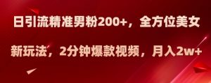 日引流精准男粉200+，全方位美女新玩法，2分钟爆款视频，月入2w+【揭秘】-互联网资源大全网