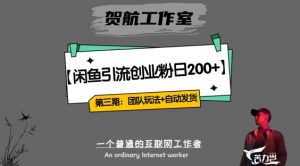 第三期：暴力引流，无脑搬运，闲鱼创业粉引流一天200+，更新全自动发货的团队闭环模式【揭秘】-互联网资源大全网