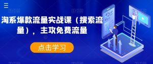 淘系爆款流量实战课(搜索流量),主攻免费流量-第一资源库