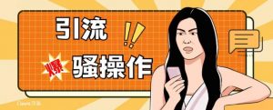最新引流骚操作，单账号日引50-100，简单粗暴，适合于小白各行各业都可以进行操作，精准粉丝加到爆-互联网资源大全网