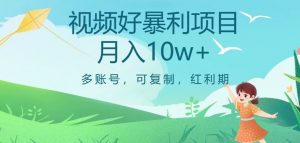 视频号暴利项目,多账号,可复制,红利期,月入10w+【揭秘】-互联网资源大全网