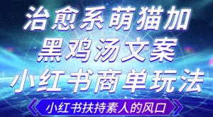 治愈系萌猫加+黑鸡汤文案,小红书商单玩法,3~10天涨到1000粉,一单200左右-互联网资源大全网