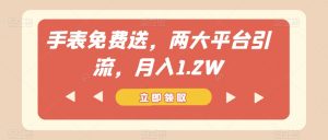 手表免费送，两大平台引流，月入1.2W【揭秘】-互联网资源大全网