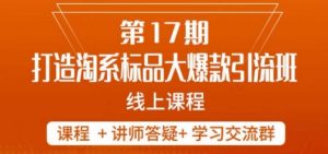南掌柜-第17期打造淘系标品大爆款,5天线上课-互联网资源大全网