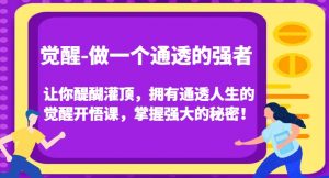 觉醒-做一个通透的强者，让你醍醐灌顶，拥有通透人生的觉醒开悟课，掌握强大的秘密！-互联网资源大全网