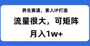 养生赛道,素人IP打造,流量很大,可矩阵,月入1w+【揭秘】-互联网资源大全网