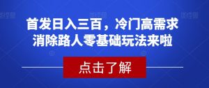 首发日入三百，冷门高需求消除路人零基础玩法来啦【揭秘】-互联网资源大全网