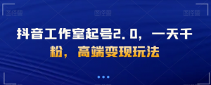 抖音工作室起号2.0,一天千粉,高端变现玩法【揭秘】-互联网资源大全网