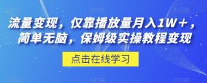 流量变现,仅靠播放量月入1W+,简单无脑,保姆级实操教程【揭秘】-互联网资源大全网