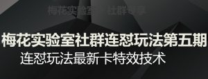 梅花实验室社群连怼玩法第五期,视频号连怼玩法最新卡特效技术-互联网资源大全网