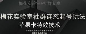 梅花实验室社群视频号连怼起号玩法，最新苹果卡特效技术-互联网资源大全网