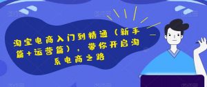 淘宝电商入门到精通(新手篇+运营篇),带你开启淘系电商之路-互联网资源大全网