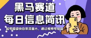 黑马赛道每日信息简讯，起号超级快自带流量大，通过视频号收益【揭秘】-互联网资源大全网