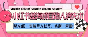 小红书蓝海项目路人消失术,帮人p图,也能月入过万,实测一天300+【揭秘】-第一资源库