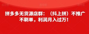 拼多多无货源店群:(抖上拼)不推广不刷单,利润月入过万!【揭秘】-第一资源库