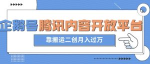 最新蓝海项目,企鹅号腾讯内容开放平台项目,靠搬运二创月入过万【揭秘】-互联网资源大全网